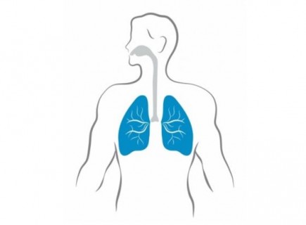 Inhaler inhalers pulmonary drug delivery pMDI DPI